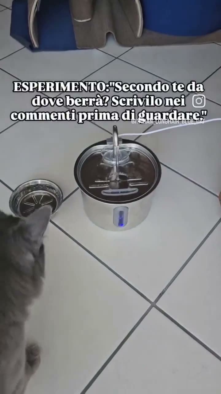 Anteprima video di Pamela Bordessa